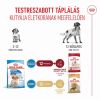 Royal Canin Medium Puppy - közepes testű kölyök kutya száraz táp  3 kg