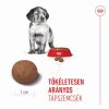 Royal Canin Medium Puppy - közepes testű kölyök kutya száraz táp  3 kg