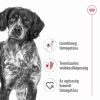 Royal Canin Medium Adult - közepes testű felnőtt kutya száraz táp  3 kg