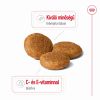 Royal Canin Medium Adult - közepes testű felnőtt kutya száraz táp  3 kg