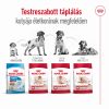 Royal Canin Medium Adult - közepes testű felnőtt kutya száraz táp  3 kg