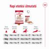 Royal Canin Medium Adult - közepes testű felnőtt kutya száraz táp  3 kg