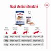Royal Canin Maxi Adult - nagytestű felnőtt kutya száraz táp  3 kg