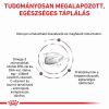Royal Canin Hepatic  7 kg