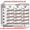 Royal Canin Hepatic  7 kg