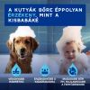 DOUXO SPA frissítő hab kutyák számára  150 ml