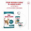 Royal Canin Ageing 15+ - száraztáp idős macskák számára  2 kg
