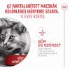 Royal Canin Ageing 11+ Sterilised - száraztáp idős, ivartalanított macskák számára  4 kg