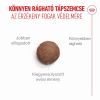 Royal Canin Ageing 11+ Sterilised - száraztáp idős, ivartalanított macskák számára  4 kg
