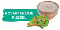 Green Petfood InsectDog Sensitive with Insects & Rice- szárazeledel rovarfehérjével és rizzsel kutyák számára  10 kg