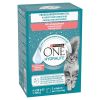 Purina One Hydralife Salmon - kiegészítő állateledel lazac ízesítéssel macskák számára 6 x  50 g