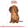 Royal Canin Dachshund Puppy - Tacskó kölyökkutya száraz táp  1.5 kg