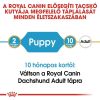 Royal Canin Dachshund Puppy - Tacskó kölyökkutya száraz táp  1.5 kg