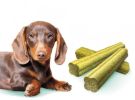Brit Care Mini Treats Fresh Breath  120 g