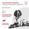 Royal Canin Glycobalance - Konzerv  410 g