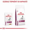 Royal Canin Renal alutasakos kutyaeledel 12 x  100 g