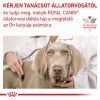 Royal Canin Renal alutasakos kutyaeledel 12 x  100 g