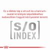 Royal Canin Urinary S/O alutasakos kutyaeledel 12 x  100 g