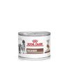Royal Canin Recovery - Konzerv 12 x  85 g