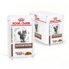 Royal Canin Feline Gastrointestinal Wet - Alutasakos 12 x  85 g