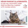 Royal Canin Feline Renal with Tuna Wet - Alutasakos 12 x  85 g