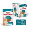 Royal Canin Ageing 15+ - szószos nedves táp idős macskák számára 12 x  85 g