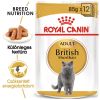 Royal Canin British Shorthair Adult - Brit rövidszőrű felnőtt macska nedves táp 12 x  85 g