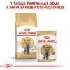 Royal Canin British Shorthair Adult - Brit rövidszőrű felnőtt macska nedves táp 12 x  85 g