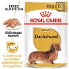 Royal Canin Dachshund Adult - Tacskó felnőtt kutya nedves táp 12 x  85 g