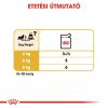 Royal Canin Dachshund Adult - Tacskó felnőtt kutya nedves táp 12 x  85 g