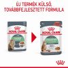 Royal Canin Digestive Care - szószos nedves táp érzékeny emésztésű felnőtt macskák részére 12 x  85 g