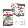 Royal Canin Digestive Care - szószos nedves táp érzékeny emésztésű felnőtt macskák részére 12 x  85 g