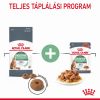 Royal Canin Digestive Care - szószos nedves táp érzékeny emésztésű felnőtt macskák részére 12 x  85 g
