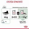 Royal Canin Digestive Care - szószos nedves táp érzékeny emésztésű felnőtt macskák részére 12 x  85 g