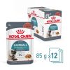 Royal Canin Hairball Care - szószos nedves táp felnőtt macskák részére a szőrlabdák könnyebb eltávozásáért 12 x  85 g