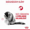Royal Canin Hairball Care - szószos nedves táp felnőtt macskák részére a szőrlabdák könnyebb eltávozásáért 12 x 85 g