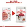 Royal Canin Instinctive Gravy - felnőtt macska szószos nedves táp 12 x  85 g