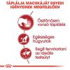 Royal Canin Instinctive Gravy - felnőtt macska szószos nedves táp 12 x  85 g