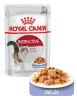 Royal Canin Instinctive Jelly - felnőtt macska zselés nedves táp 12 x  85 g