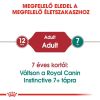 Royal Canin Instinctive Jelly - felnőtt macska zselés nedves táp 12 x  85 g