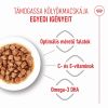 Royal Canin Kitten Gravy - szószos nedvestáp kölyök macska szószos nedves táp 12 x  85 g