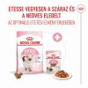 Royal Canin Kitten Gravy - szószos nedvestáp kölyök macska szószos nedves táp 12 x  85 g
