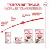 Royal Canin Kitten Gravy - szószos nedvestáp kölyök macska szószos nedves táp 12 x  85 g