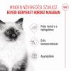 Royal Canin Kitten Loaf - kölyök macska pépes nedves táp 12 x  85 g