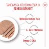 Royal Canin Kitten Loaf - kölyök macska pépes nedves táp 12 x  85 g