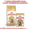 Royal Canin Maine Coon Adult - Maine Coon felnőtt macska nedves táp 12 x  85 g