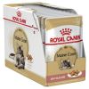Royal Canin Maine Coon Adult - Maine Coon felnőtt macska nedves táp 12 x  85 g