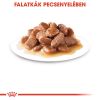 Royal Canin Sterilised Gravy - ivartalanított felnőtt macska szószos nedves táp 12 x  85 g