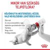 Royal Canin Babydog Milk - Tejpótló tápszer kölyökkutyáknak  400 g