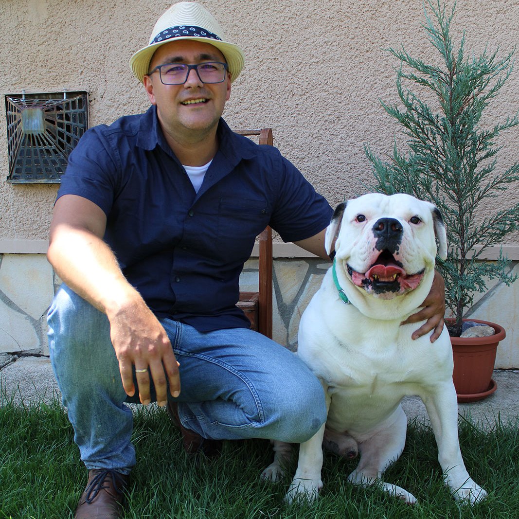 bulldog
